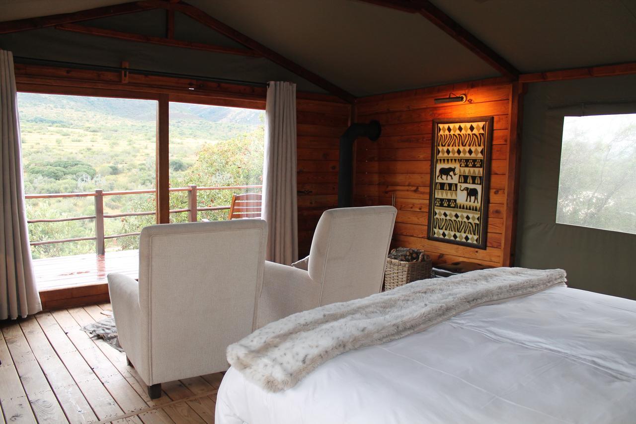 Addo Elephant Lodge & Safaris Kirkwood Exterior photo