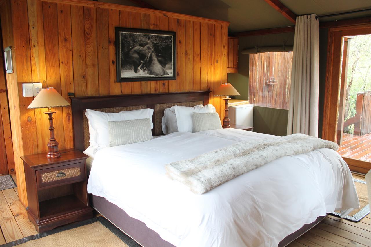 Addo Elephant Lodge & Safaris Kirkwood Exterior photo
