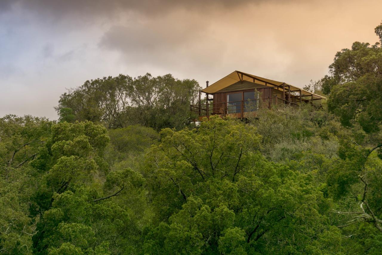 Addo Elephant Lodge & Safaris Kirkwood Exterior photo